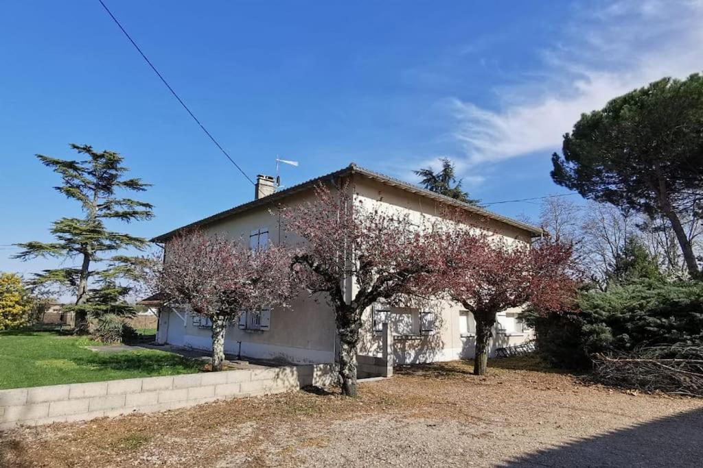Maison Gaillacoise Esterno foto