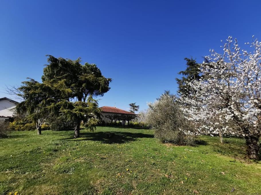 Maison Gaillacoise Esterno foto